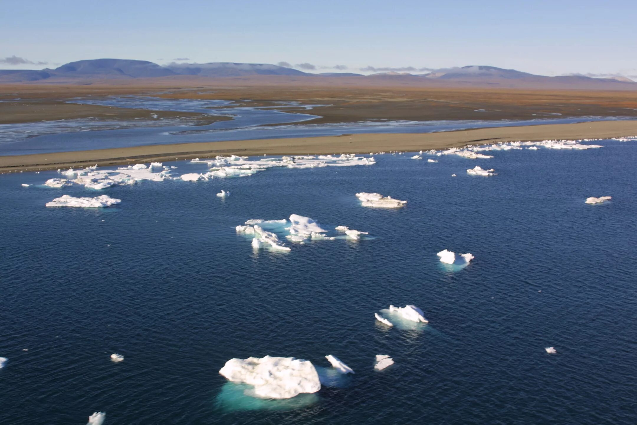 чукотка остров. чукотский заповедник остров врангеля. остров врангеля рельеф. китовая аллея чукотка. чукотка остров врангеля.