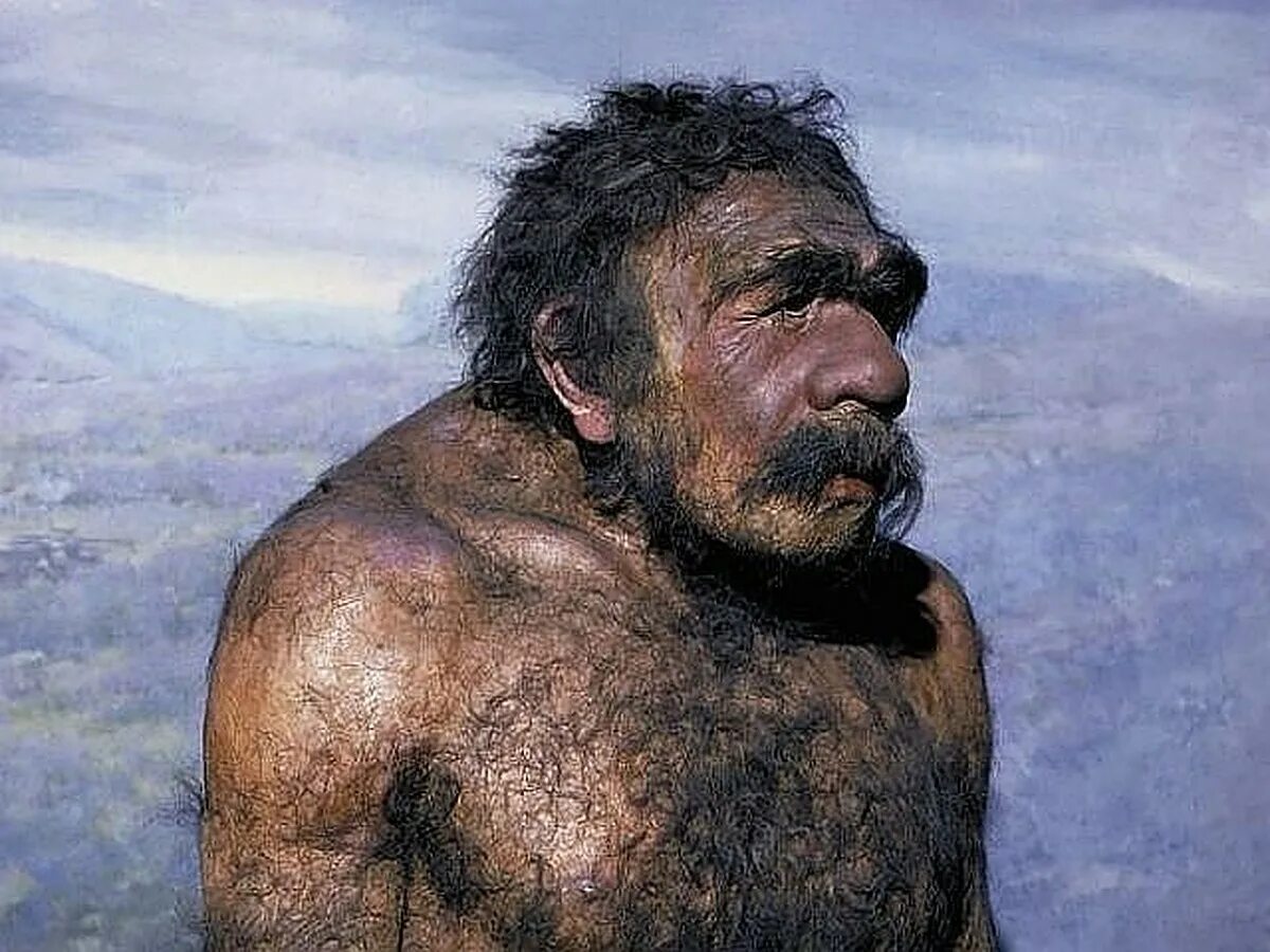 Неандерталец это. Неандерталец (homo neanderthalensis). денисовский человек и хомо сапиенс. денисовский человек ( homo denisovensis ).