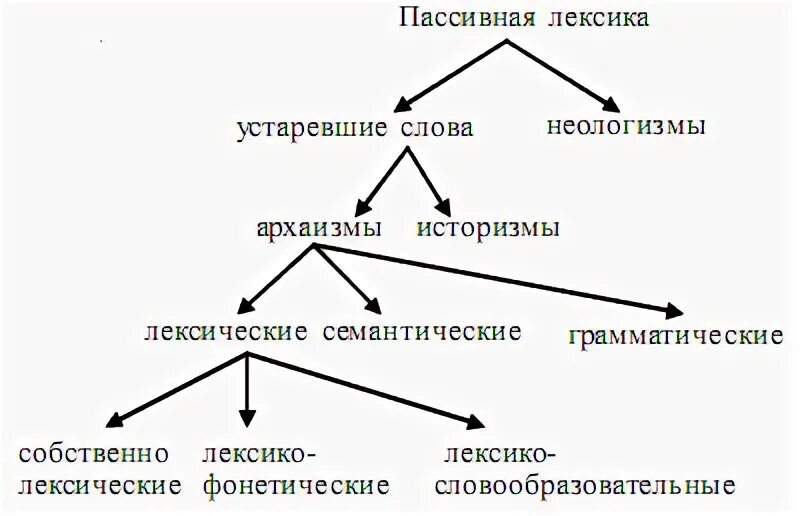 Схема активная и пассивная лексика. Пассивная лексика. Активная и пассивная лексика русского языка. Лексика схема.