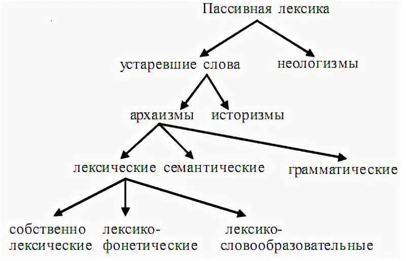 Слова активна лексика. Схема активная и пассивная лексика. Пассивная лексика. Активная и пассивная лексика русского языка. Лексика схема.