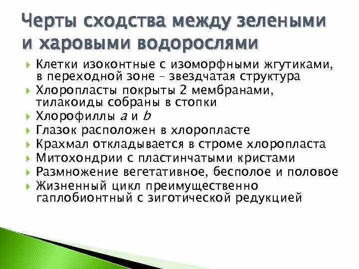 Сходные черты зелёных водорослей и высших растений. Черты сходства и различия водорослей и растений. Черты сходства и различия водорослей и высших растений. Изоконтные клетки.