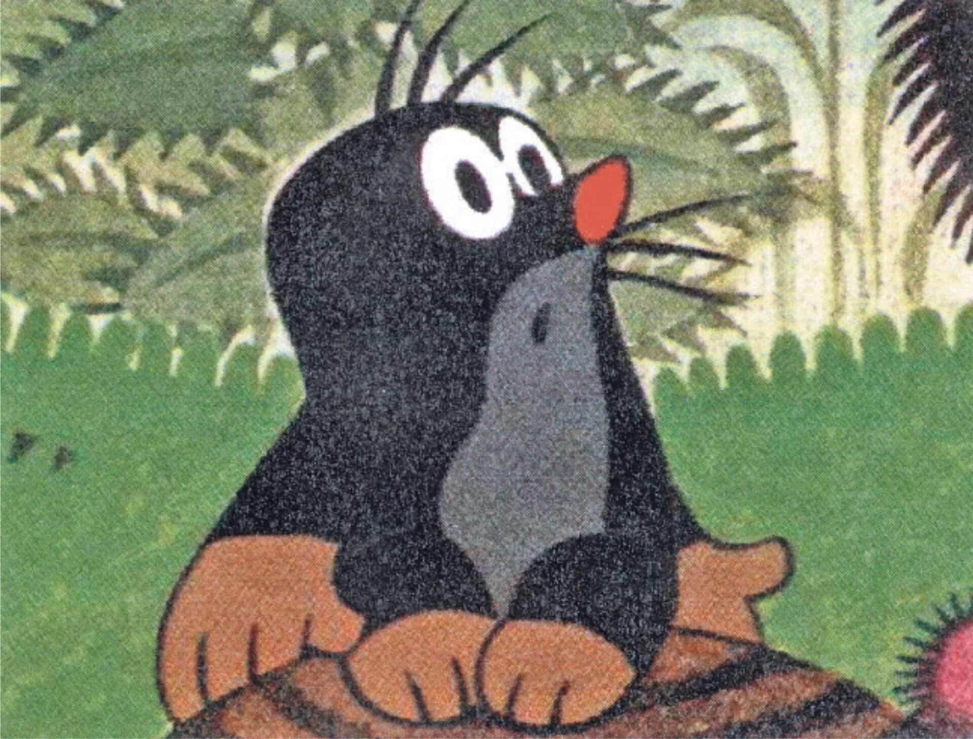 Krtek мультсериал. Krtek мультсериал. крот чехия. крот чехия. крот чехия.