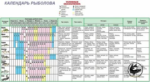 Какое нормальное давление для рыбы