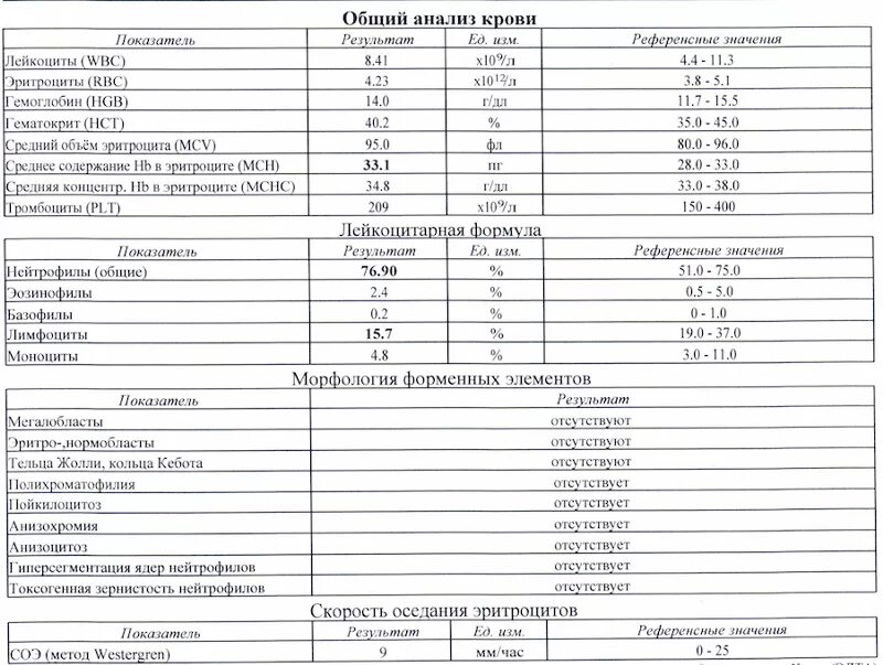 Повышены лейкоциты в крови после