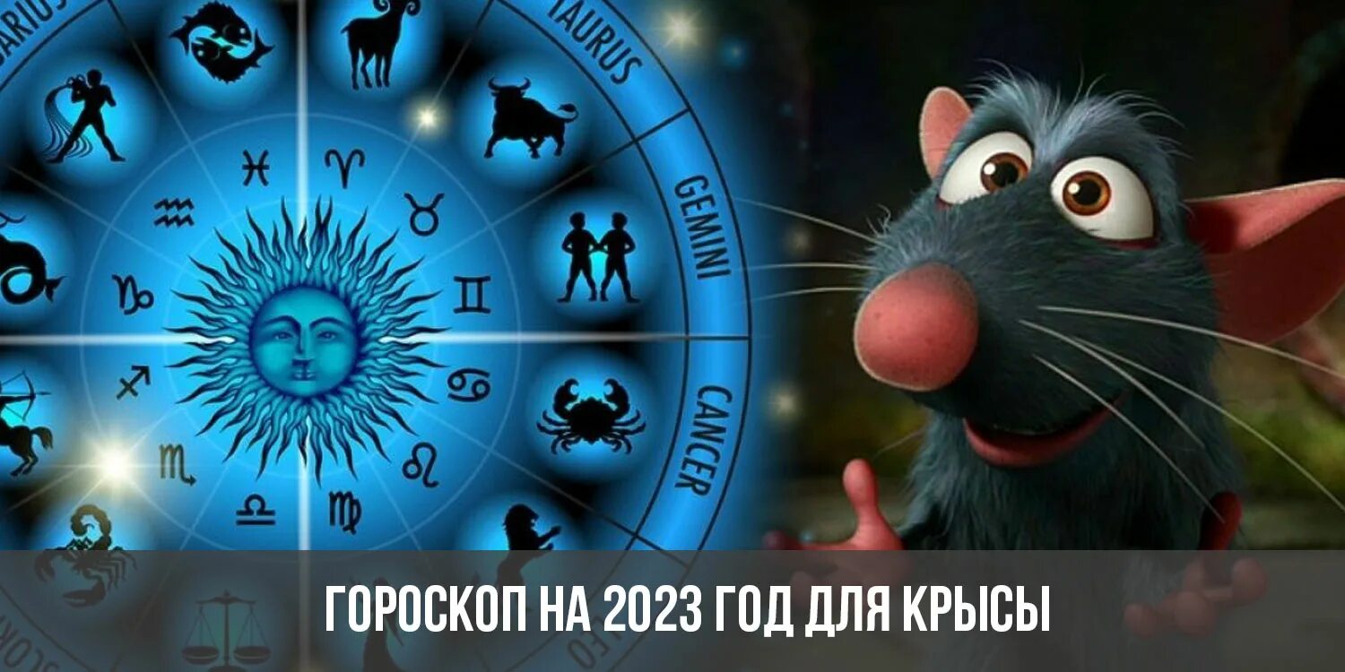 Гороскоп на 2023. Гороскоп на 2023 год. Крыса гороскоп. Следующий год 2023.