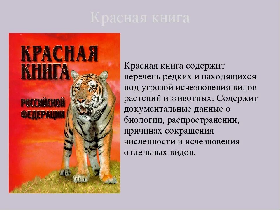 Красная книга. Проект животные красной книги. Красная книга России. Красная книга презентация.