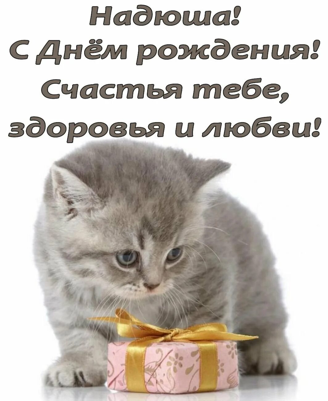Надюха с днюхой. Надюха с днюхой. Надюха с днюхой. Надюха с днюхой. Поздравления с днём рождения надежде прикольные.