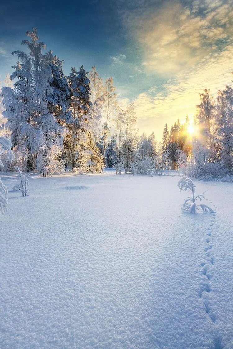 Зима пейзаж. Snowfall pics in Russia. Зима вдохновение