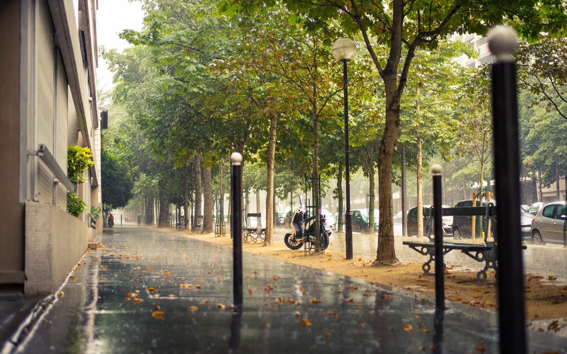 Rain town. Улица Моконсей Париж. Улица города. Дождливая улица.
