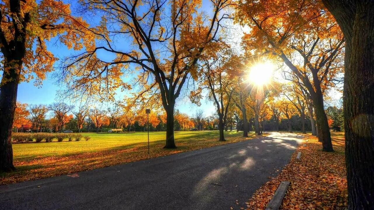 Ранняя осень. Парк солнце осень. Сентябрь природа. Осень в парке. Парк солнце осень.