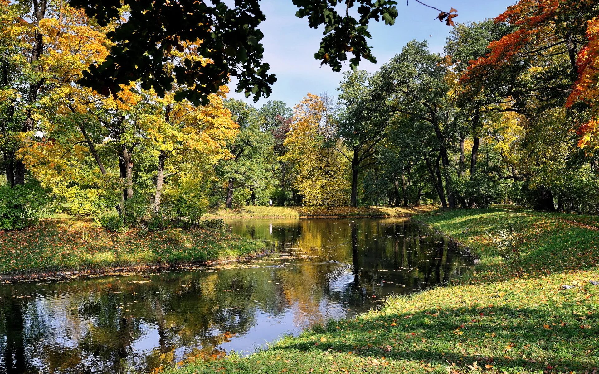 Пейзаж ранняя осень. Природа парк. Пейзажи высокого разрешения. Пейзажи средней полосы России. Картинки природы города