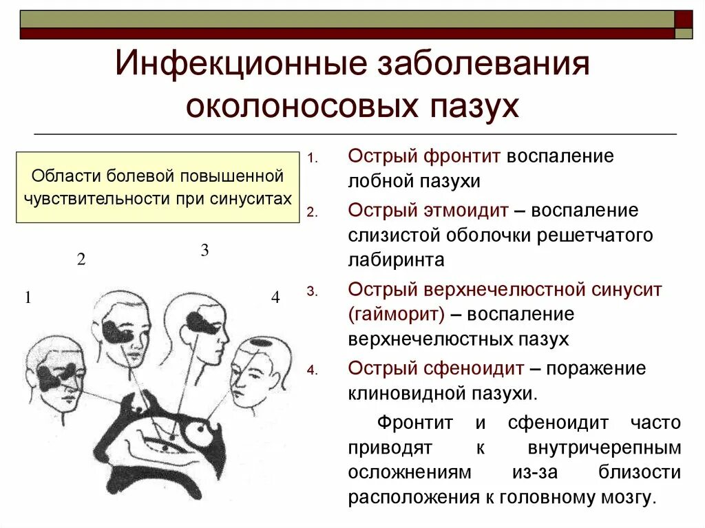 Околоносовые пазухи заболевания. Патология придаточных пазух. Классификация воспалительных заболеваний околоносовых пазух.. Заболевания носа и околоносовых пазух носа. Заболевания связанные с носом