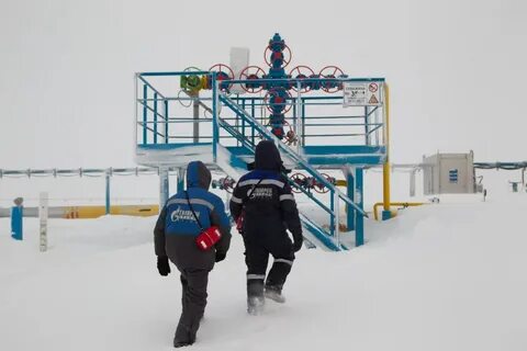 Вакансия надым центр