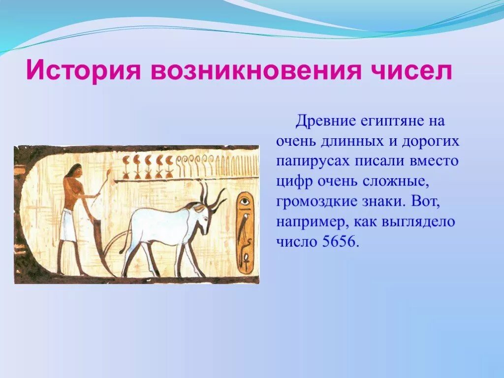 История возникновения чисел. История возникновения цифр. Число 5656 в древнем Египте. Числа в древности. История чисел информация