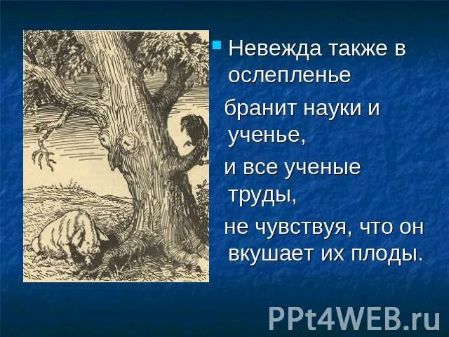 Также в ослепленье бранит науки и ученье. Свинья под дубом. Мораль басни свинья под дубом. Свинья под дубом басня крылова. Невежда в ослепленье бранит.