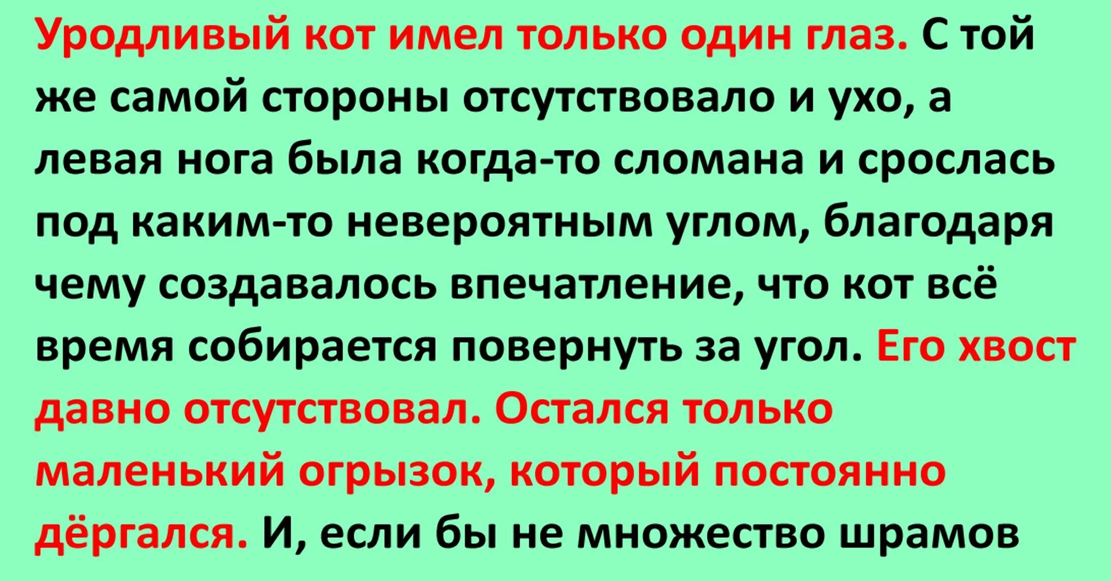 Стихотворение о уродливом коте. Уродливый кот текст. Уродливый кот стихотворение. Уродливый кот рассказ.