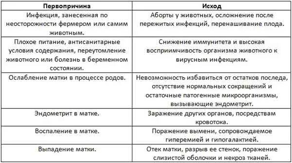 Выпадение матки после родов. Выпадение матки после родов у коровы. Выпадение матки у коровы после отела. Причина выпадения матки у коров.