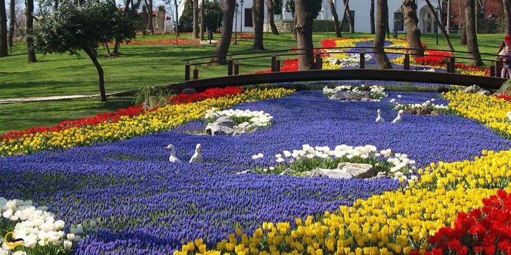 Парк тюльпанов в стамбуле. Парк Эмирган в Стамбуле. Гюльхане парк Стамбул тюльпаны. Парк Гюльхане фестиваль тюльпанов. Парк Эмирган фестиваль тюльпанов.