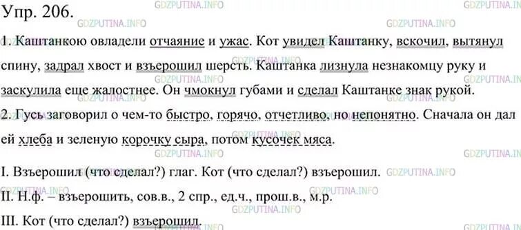 Кот увидел Каштанку вскочил вытянул спину. Упражнение 206 5 класс ладыженская. Русский язык 5 класс кот увидел Каштанку. Русский язык 5 класс ладыженская упражнение 206.