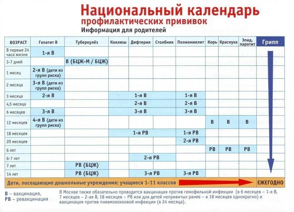 Прививки какие делают график