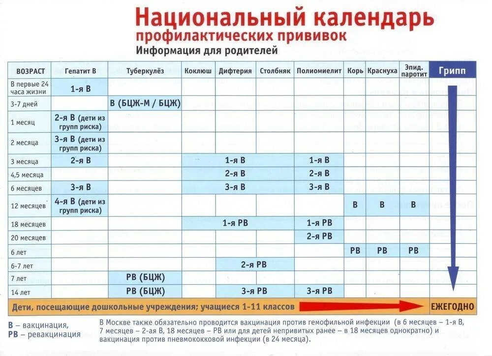 Сколько прививок делают адсм. Российский календарь прививок для детей. Календарь плановых прививок для детей. Таблица профилактических прививок у детей. График прививок для детей до года 2022.