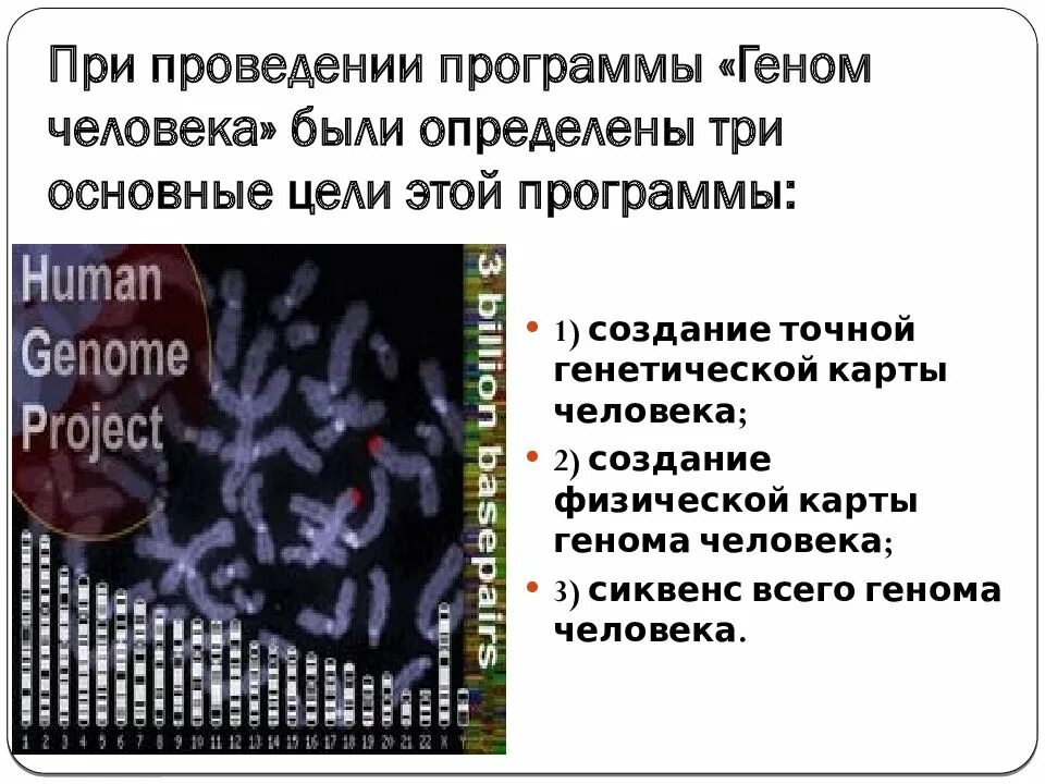 При расшифровке генома свеклы было установлено что. Карта генома человека. Проект геном человека. Программа геном человека. Проект геном человека карты генов.