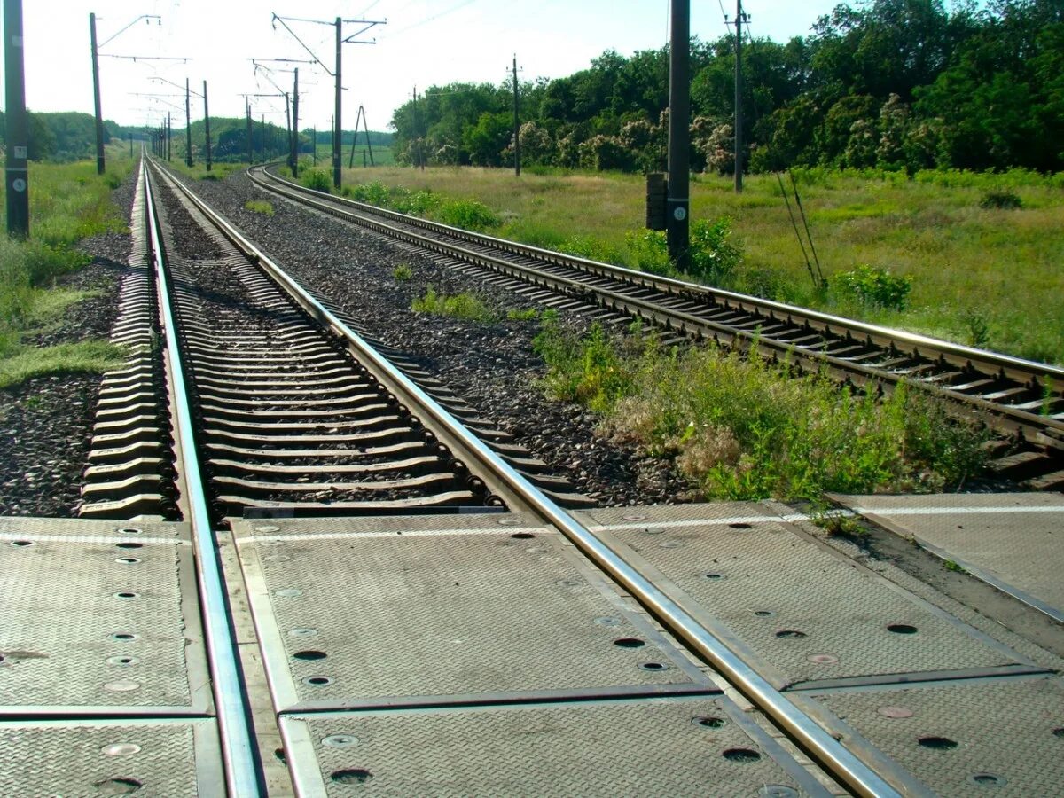 Т ж д ж 2
