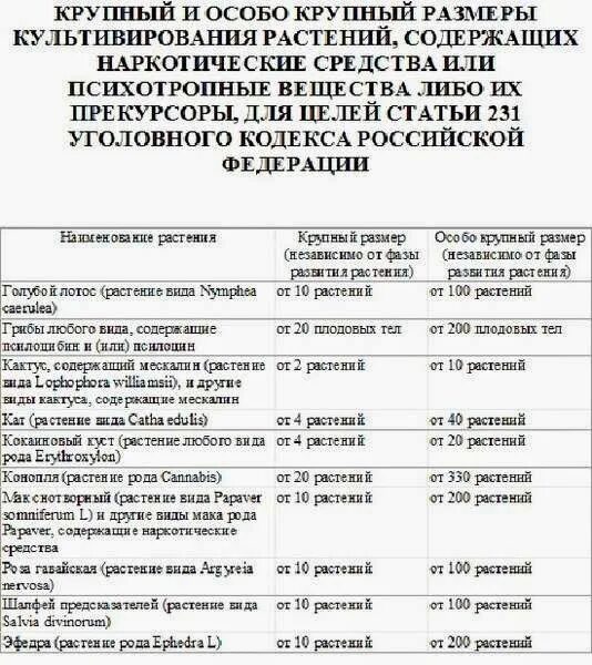 Крупный размер по ук сколько. Особо крупный размер УК РФ. Список запрещенных растений. Крупный размер по УК РФ. Крупный особо крупный размер.