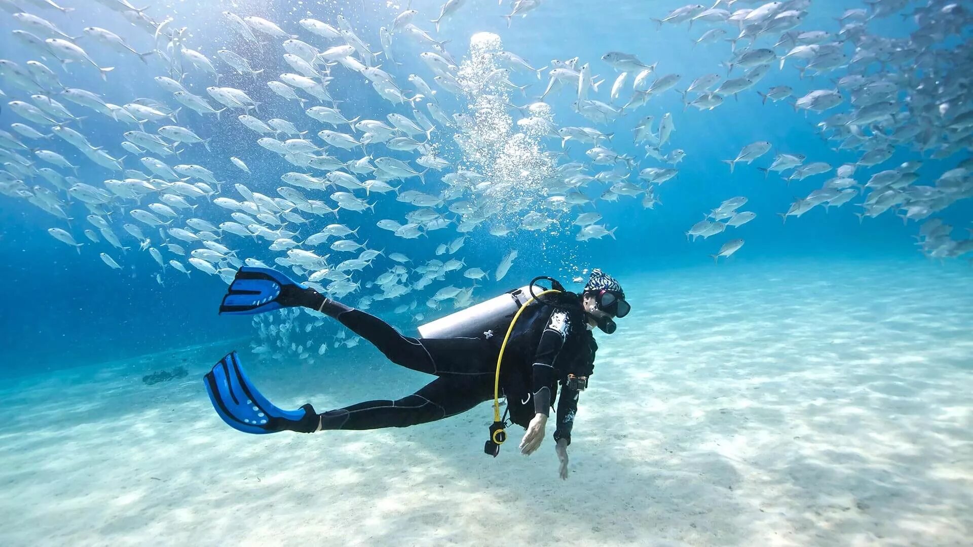 Sea dive. Дайвинг Scuba. Скуба дайвинг вид спорта. Phuket дайвинг. Подводный туризм.
