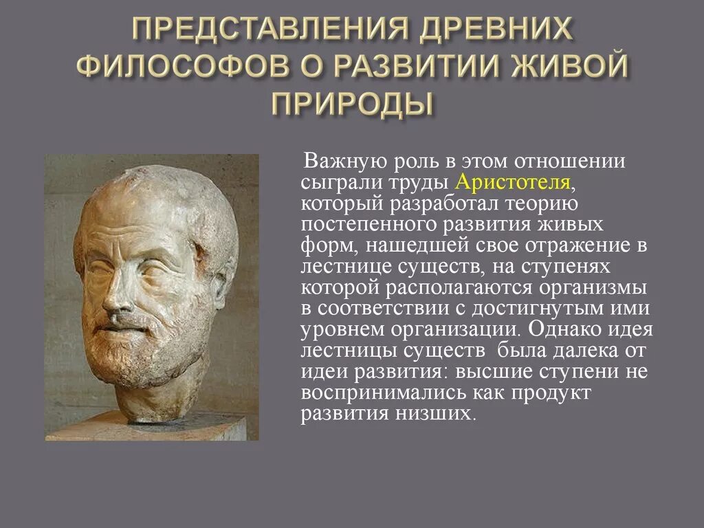 Античные представления о сущности жизни. Эволюционные идеи древности. Возникновение эволюционных идей. Эволюционные представления в древности. Античные представления об эволюции.