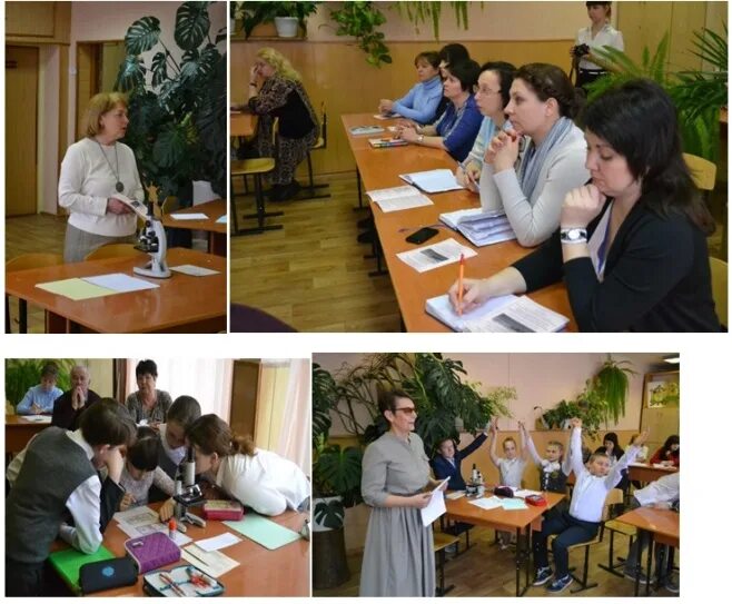 Коллектив школьный 7 класс. Каменева м. Аллея славы проект. Школа 48 каменева курск учитель физики. Школа участие.