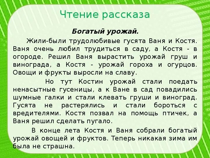 Рассказы про богатого. Рассказ богатый урожай. • Пересказ рассказа "богатый урожай". Гомзяк богатый урожай. Рассказ про урожай для детей.