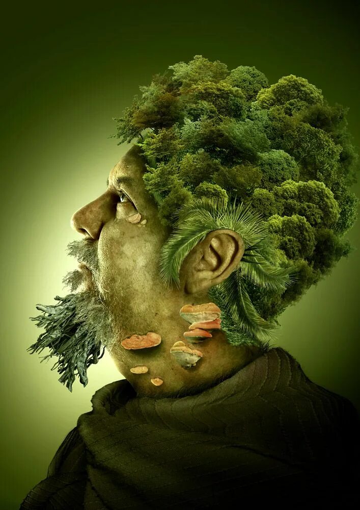 Растения и человек. Человек растение арт. Человек на траве. Человек зелень.