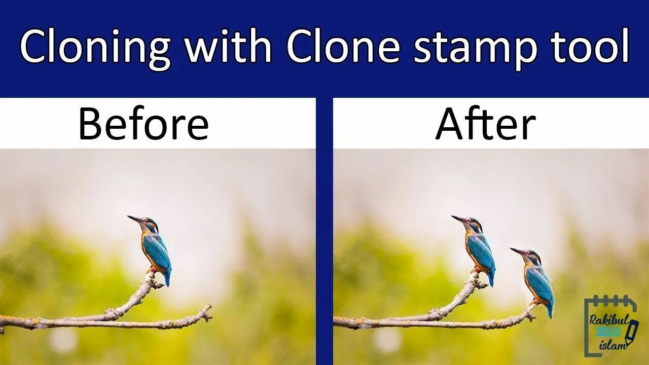 Clone stamp. Clone tool. stamp tool. cloning stamp tool.