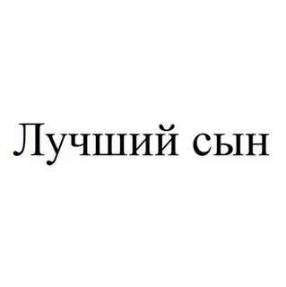 Ты лучший сын