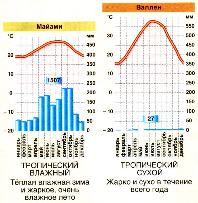 Климатограммы тропического пояса. Климатограмма тропического климатического пояса. Климатограмма Северного тропического пояса. Тропический сухой климат климатограмма. Тип климата в лондоне