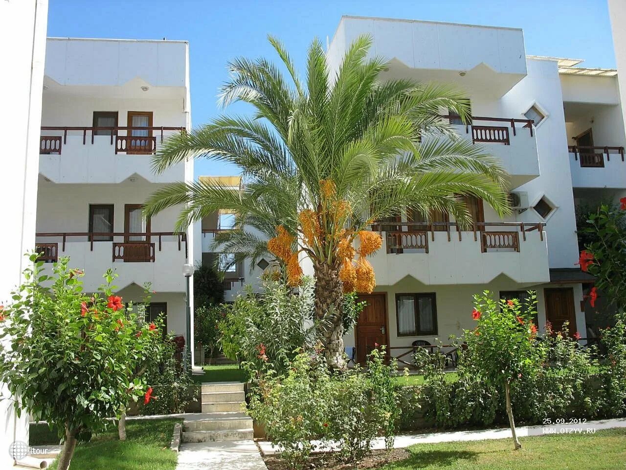 Hotel antik 4 турция. Отель antik hotel garden 4 турция аланья. Antik garden hotel 4 турция. Hotel antik 4 турция. Отель антик турция авсаллар.