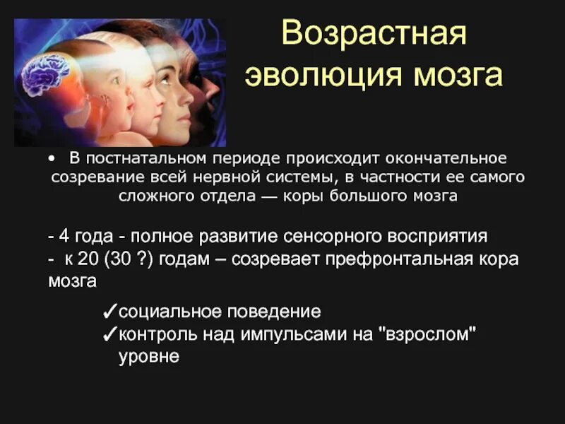 Развитие мозга возраст. Созревание коры головного мозга. Возрастная Эволюция мозга. Этапы созревания головного мозга. Развитие нервной системы в постнатальном периоде.