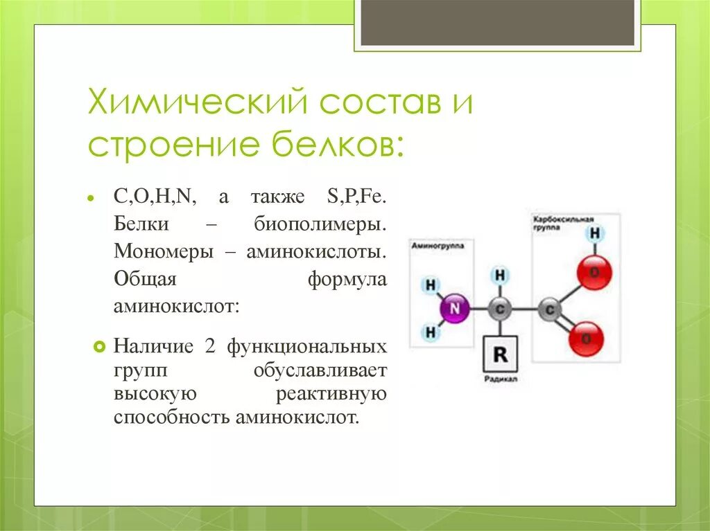 Соединение мономера белка. Белки химический состав строение. Химическое строение белка. Белки химия строение. Химический состав белков химия.