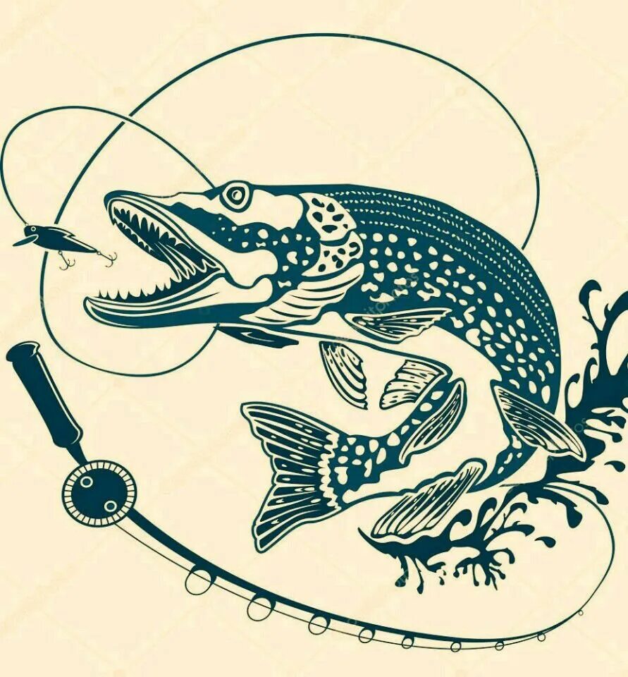 Щука логотип. Логотип рыбалка щука. Щука силуэт. Щука вектор.