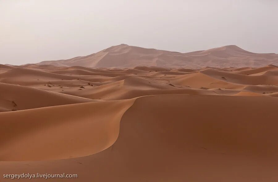 цвет сахары. цвет сахары. дюна пустыня. экскурсия тунис сахара барханы. цвет сахары.