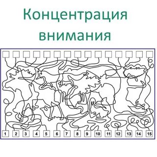 Схема развития внимания