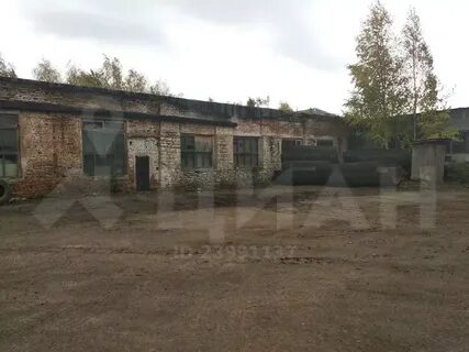 Погода дер большая устюба на неделю