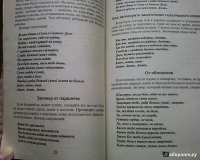Заговор над