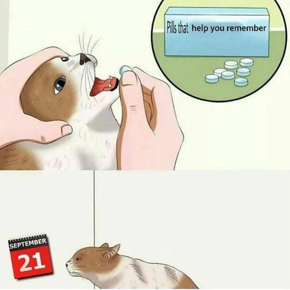 Help me to remember. Remember meme. september мем. do you remember september. remember it мем.