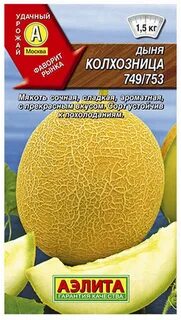 Дыня колхозница описание