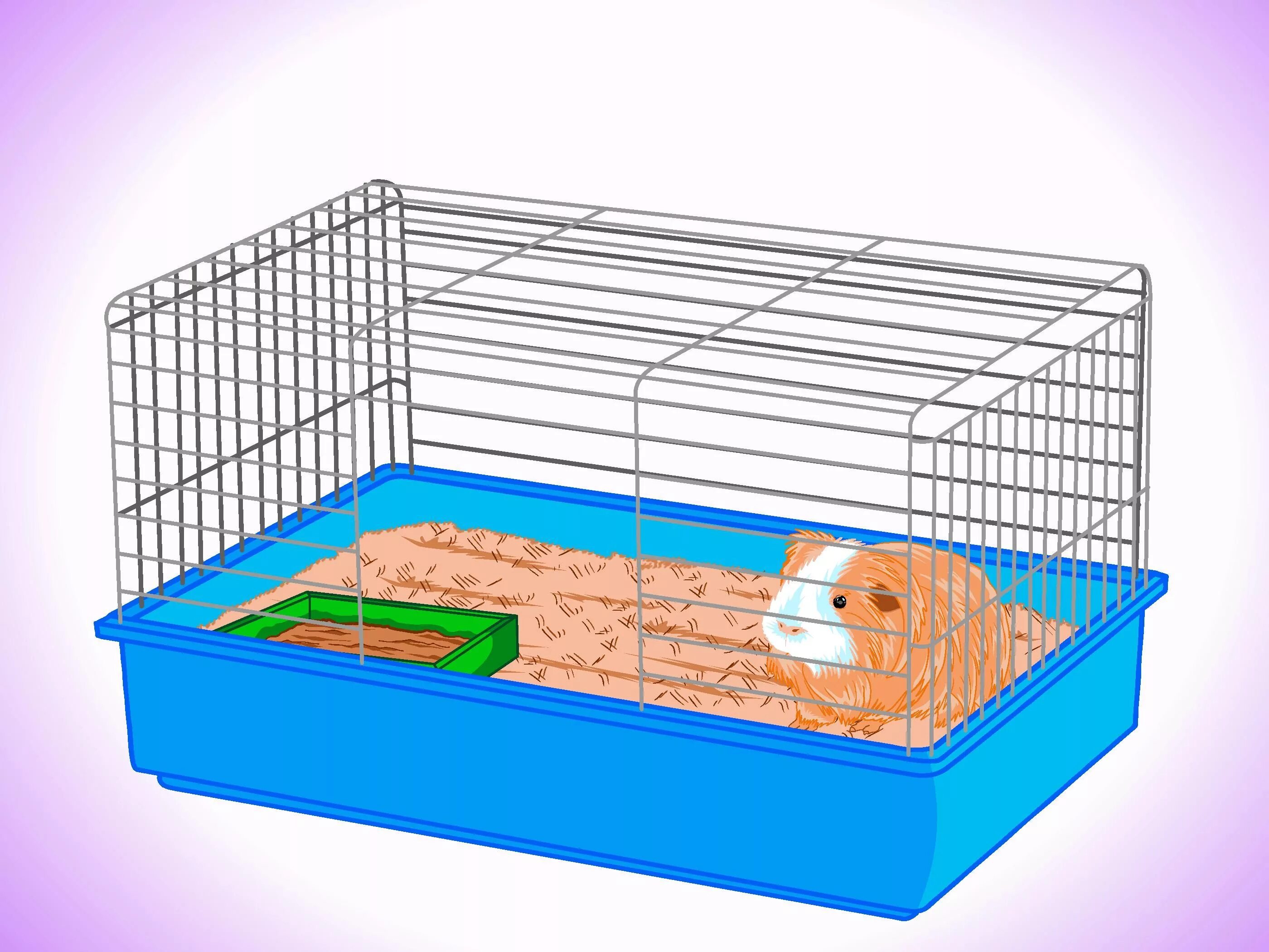 Клетка для морской свинки. Клетка для хомяка. Хомяк. Клетка для детей 5