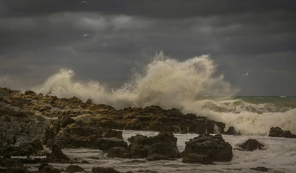 девятый вал. вал морская волна. в г. девятый вал приморский край море. поселок девятый вал приморский край фото.
