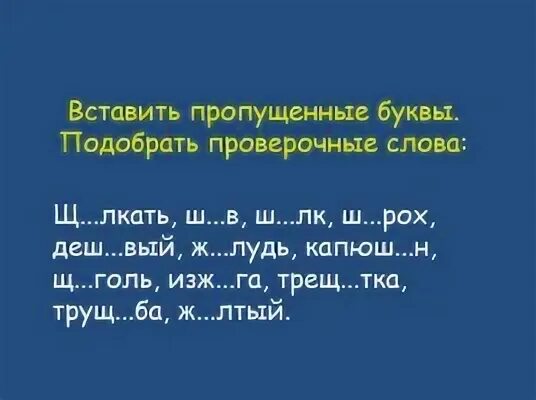Ж лудь ш пот