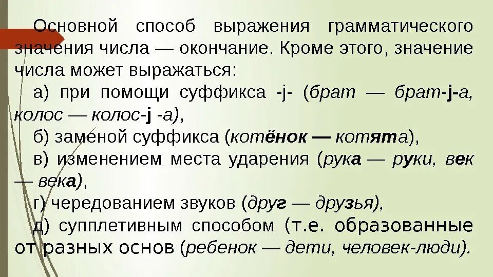В том числе что это значит